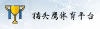 使用指南与常见问题