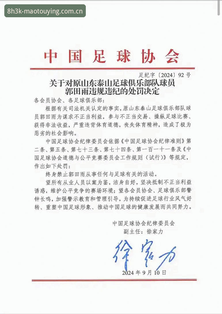 猫头鹰体育8H3K 中国足协第三批禁足名单深度解析:17人终身禁赛背后的足球生态变革
